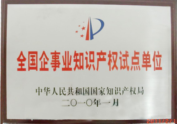 2、國(guó)家級(jí)-全國(guó)企事業(yè)知識(shí)產(chǎn)權(quán)試點(diǎn)單位-(1).jpg